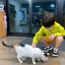 제주 춘자네 펜션 이미지