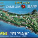 부산도시철도 괴정역 이미지