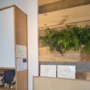 카페미뇽 이미지