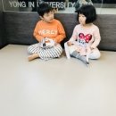 힘찬나래 국제 태권도장 이미지