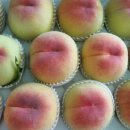 승기농장 이미지