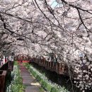 진해구 ⓒ-30 이미지