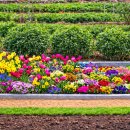 개금농장 이미지