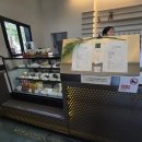 다시초록섬 이미지