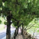 꿈에365모텔 이미지