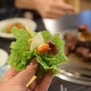 제주오도록