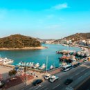 완도네시아 이미지