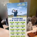 파인파골프클럽 이미지