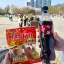 세븐일레븐 꿈의숲 효성점 | 4개월 아기랑 벚꽃구경, 북서울꿈의숲 공원 추천