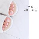 제니스네일1호 이미지