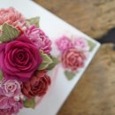 인디핫핑크 이미지