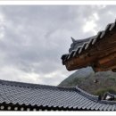 단양마중 이미지