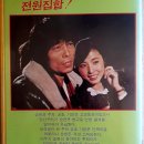 얄개비디오 이미지