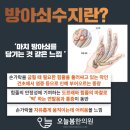 수지봄한의원 이미지