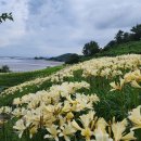 부안변산마실길 이미지