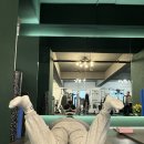 타이거 파라다이스 이미지