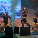 투엘 Daum카페