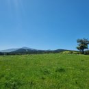 유상호한의원 이미지