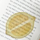 옥토 Daum카페
