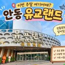문화관광단지(동) | 안동 아이와 가볼만한곳 날씨 상관없는 안동문화관광단지유교랜드 할인