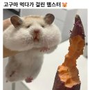 오월(5월) 1 이미지