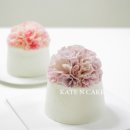 케이트앤케이크(KATENCAKE)