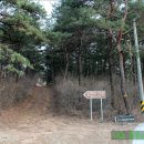 수성최씨시조묘 이미지