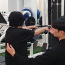 리틀포레짐 이미지