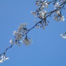 앗~~싸노래방 이미지