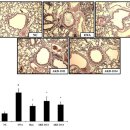 아주약품(주) 이미지