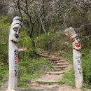 아라메길 (천년미소길) 이미지