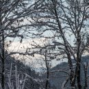 서울시립뇌성마비복지관 이미지