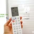 도로시맘