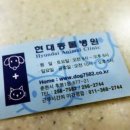 현대동물병원 애견용품 이미지