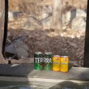 비버리힐즈펜션1 이미지