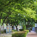 김해김씨 열녀비 이미지