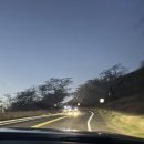 하와이오케이(Hawaii ok) | 하와이 신혼여행 후기 : 토요일 오전 다이아몬드헤드 예약,주차,트래킹 후기