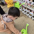 새장유어린이집 이미지