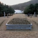 송산조견선생묘 이미지