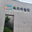 세븐일레븐 울진후포드림점 | 울릉도 3일차 여행코스 2탄 찐후기(독도박물관/ 다애식당/ 선플라워크루즈 울진후포항 가는길)