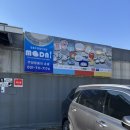 모드니카페 | 신혼그릇 쇼핑! 모드니 분당점 수입그릇 가격, 구매 후기