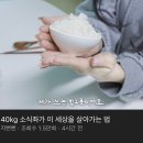 소식좌 밥그릇 크기 이미지