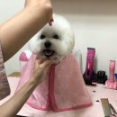 쭈자매공방