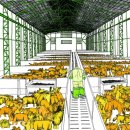 외양농장 이미지