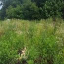 퇴촌면-5 이미지