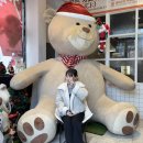 뚜레쥬르 포항오천부영 | [포항 오천] 크리스마스 곰돌이 有ㅣ라라코스트 문덕점