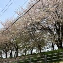 동현자동차정비 이미지