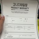 고니디테일링