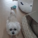 견생원 이미지