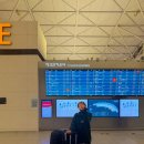 브리즈번 | 싱가포르항공 인천 브리즈번 :: 이코노미 기내식, 싱가포르 경유 환승 후기